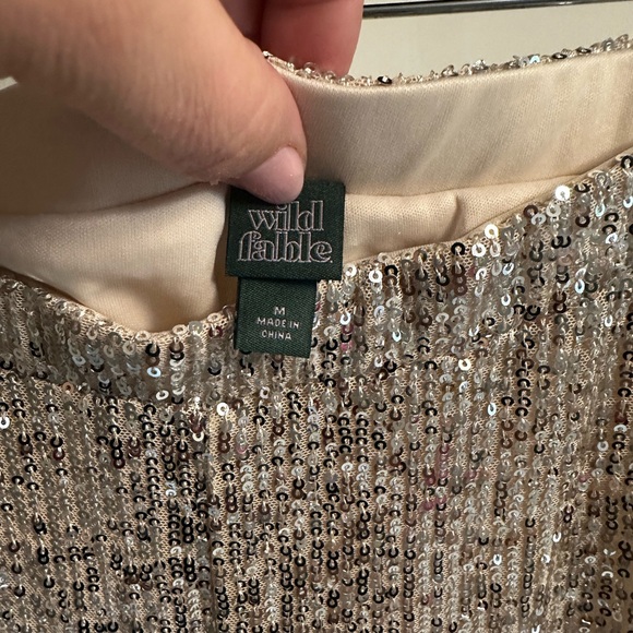 Wild Fable Silver Sequin pants - Picture 2 of 3